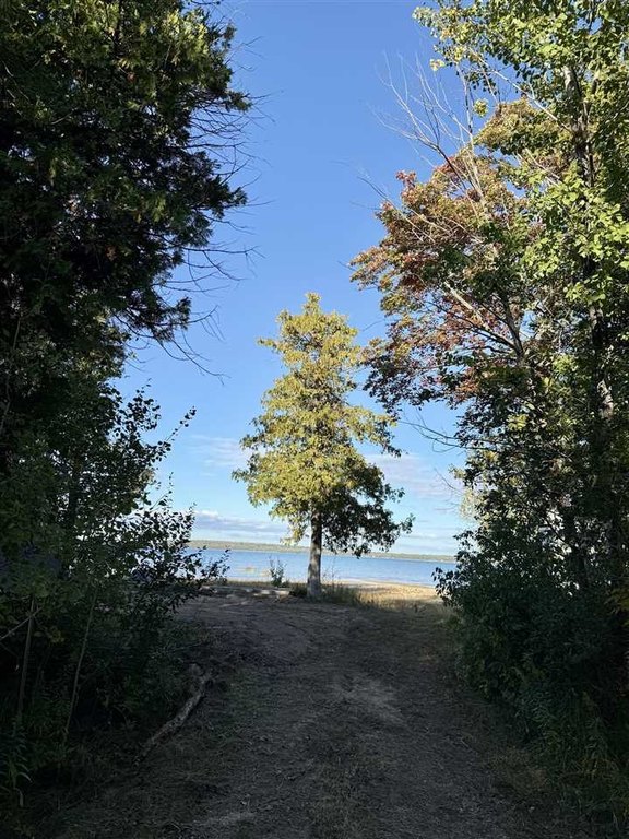 Picture 13