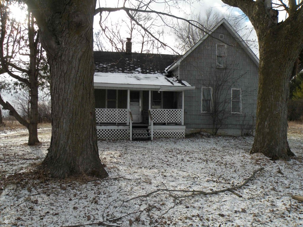 Picture 8