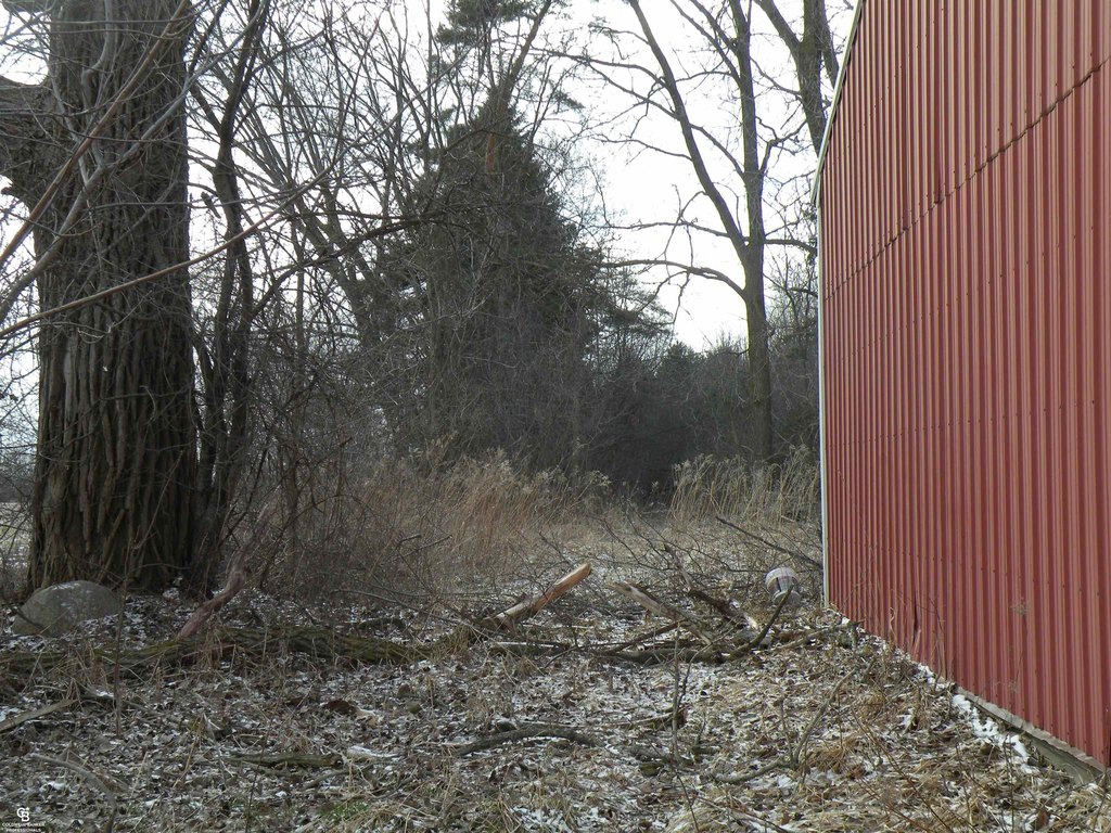 Picture 2