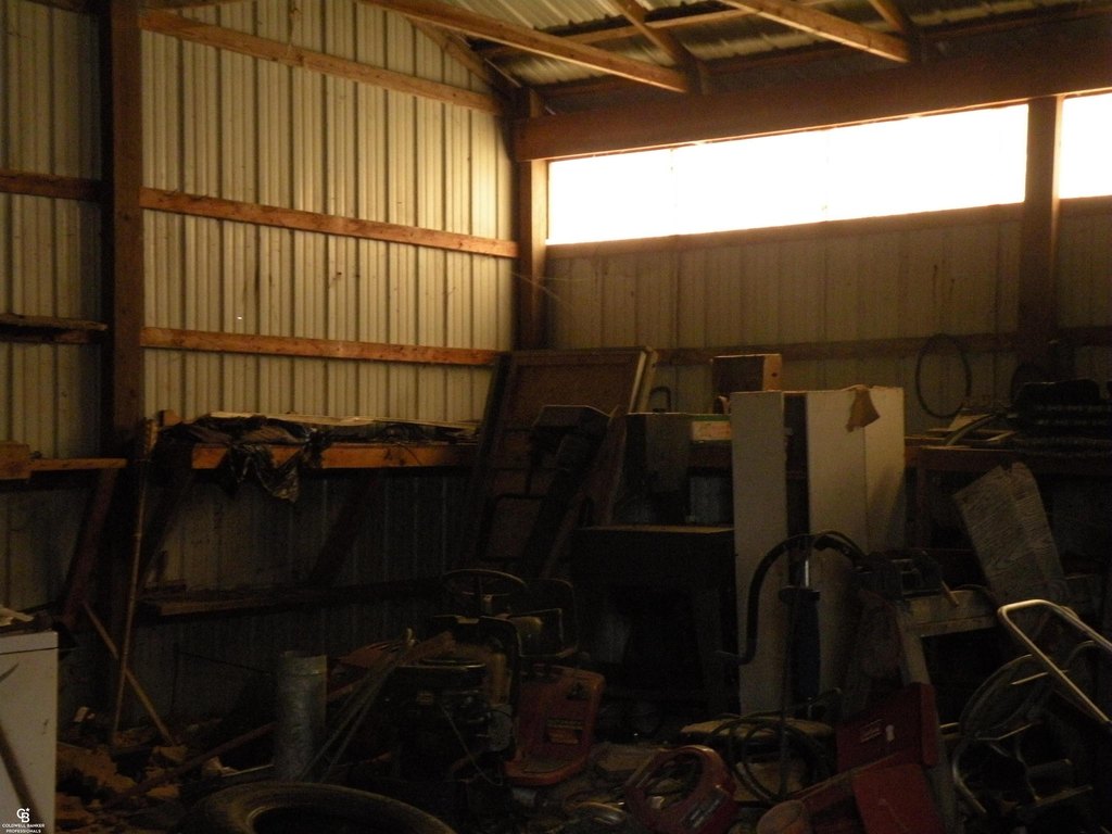 Picture 5