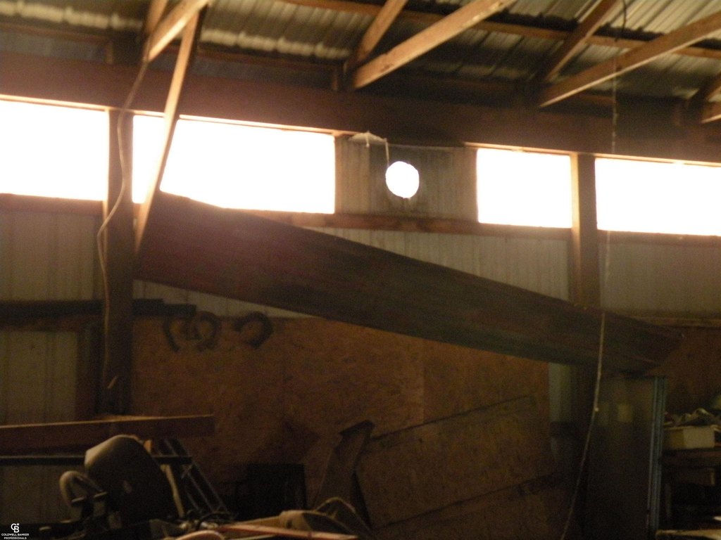 Picture 4