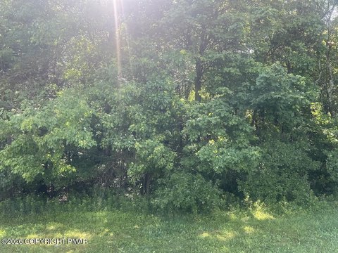 LAND - Pocono Summit, PA