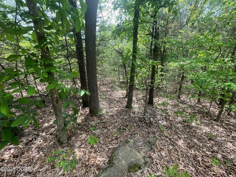 Secluded 80-Acre Land in Powell, MO