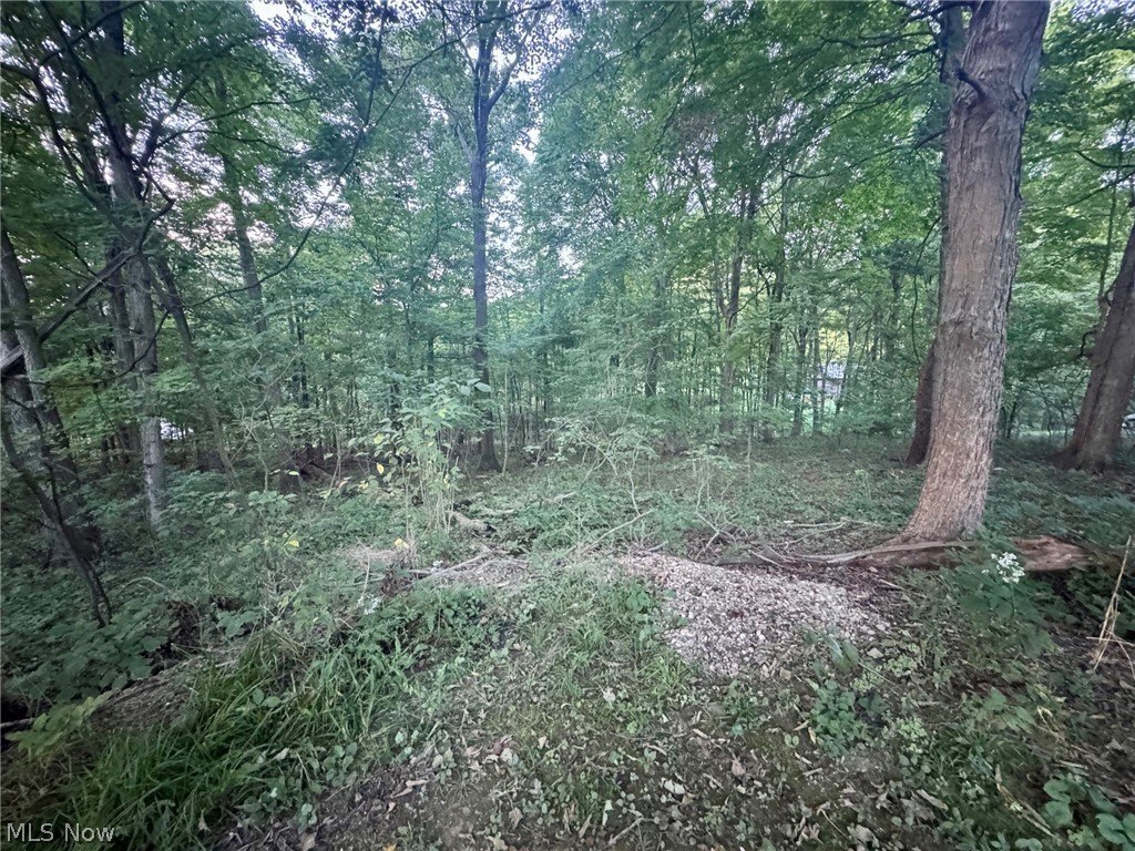 Picture 4