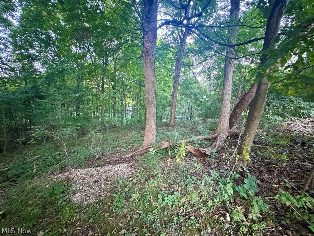 Picture 3