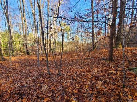 Sevierville Wooded Lot in Gated Community