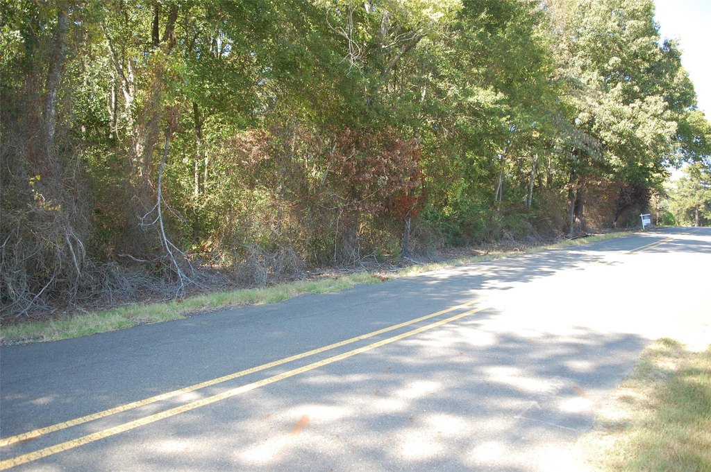 Picture 4