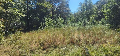 Land, BIG SANDY, TN