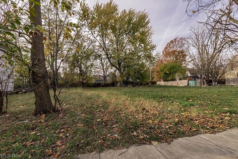 Land, Cleveland, OH