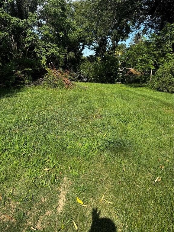 Picture 3