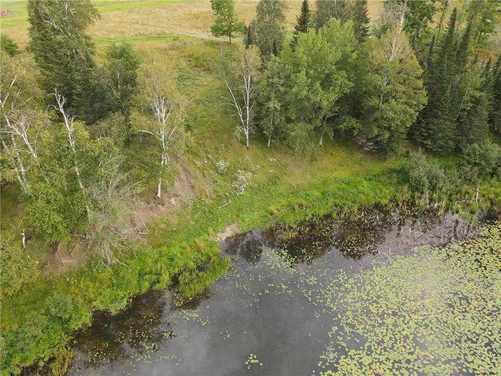 Picture 8