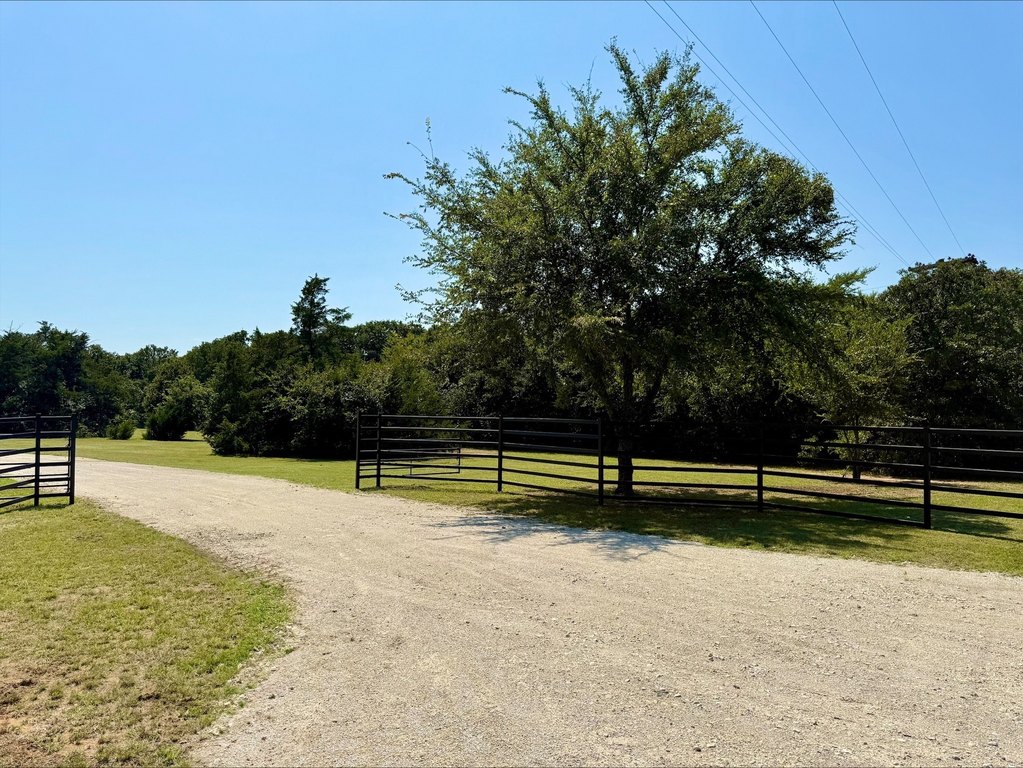 Picture 24