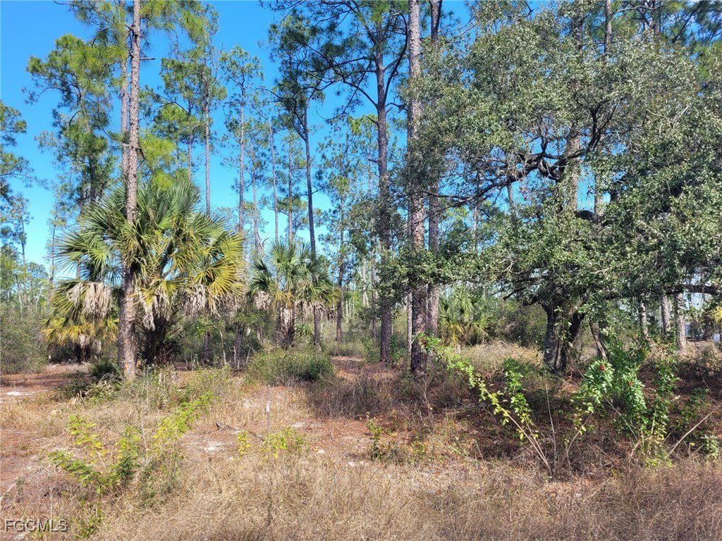 Land Parcel in Lehigh Properties