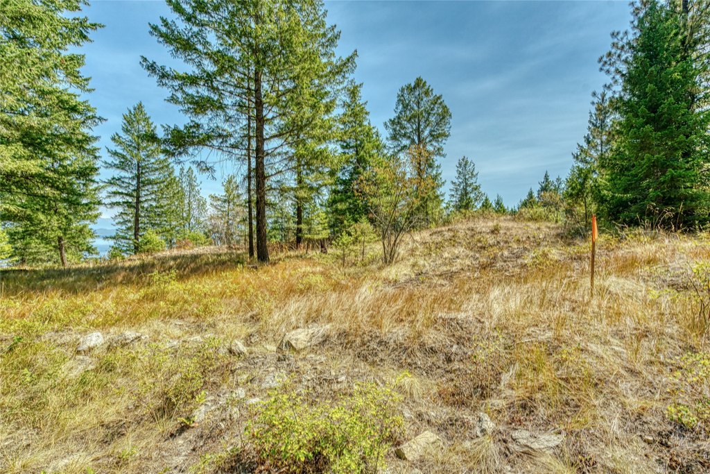 Picture 30