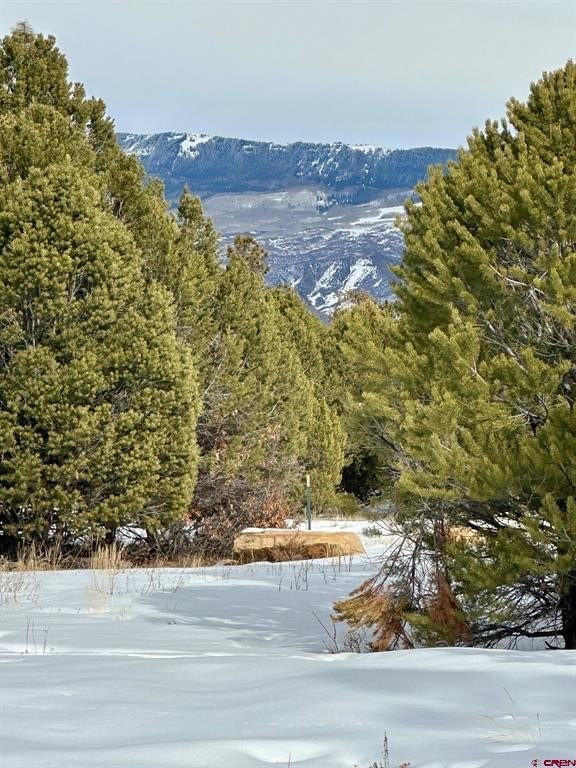 Land For Sale, Ridgway, CO
