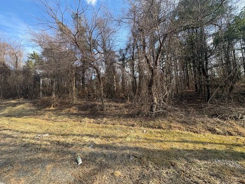 Hillsville Land with Development Potential