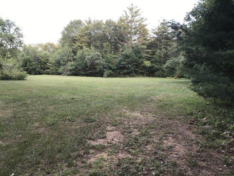 Cleared Land Parcel in Wilton