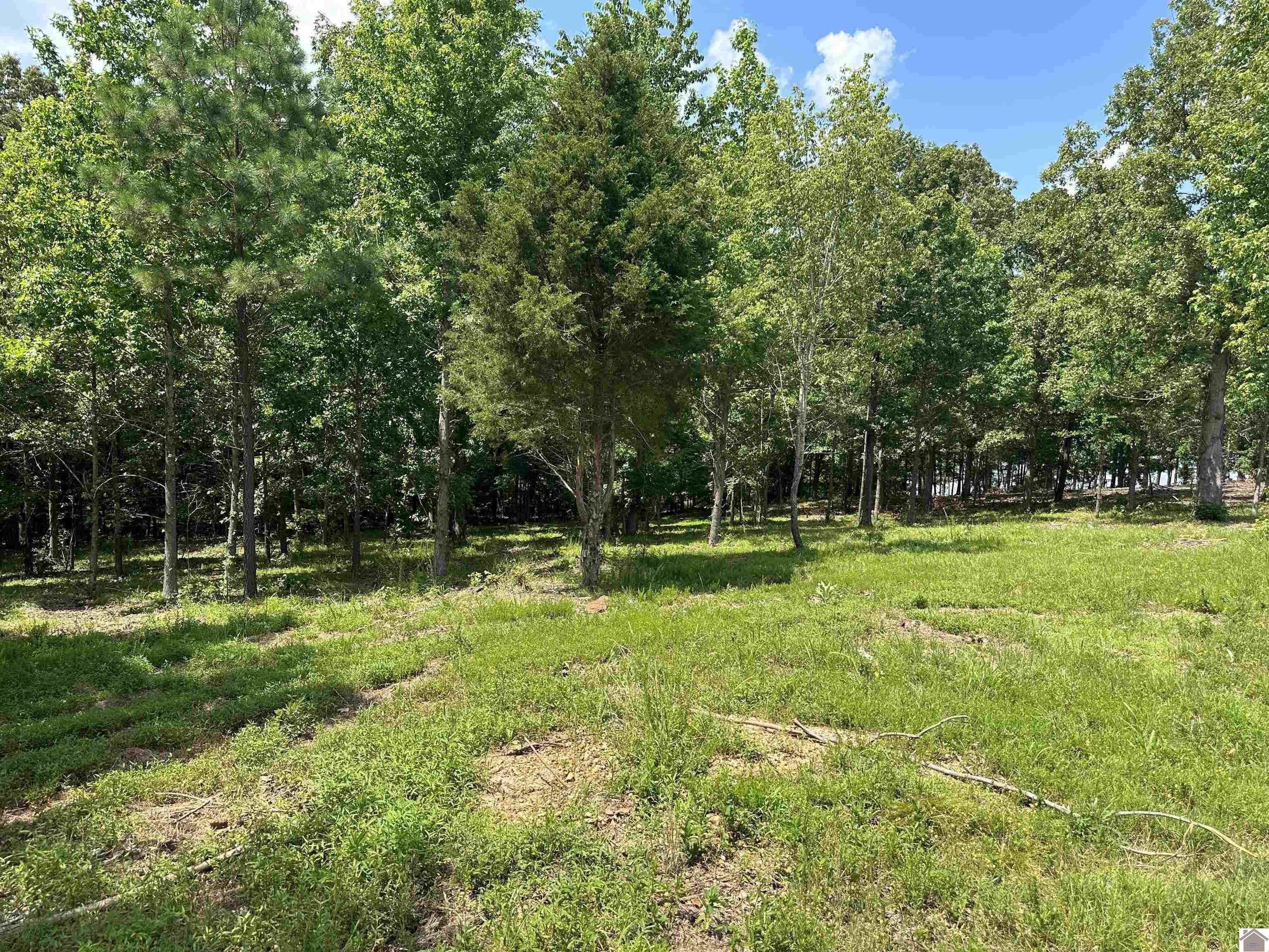 Waterfront Lot in Benton, KY