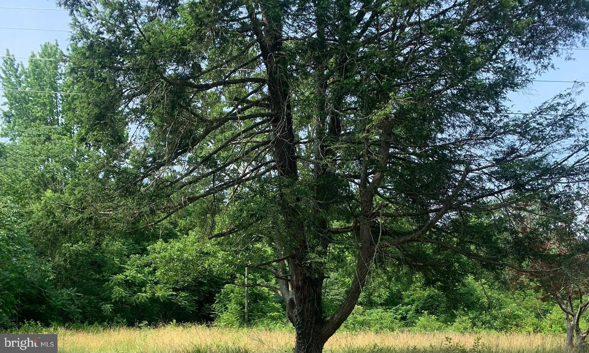 7 Acres of Rural Land