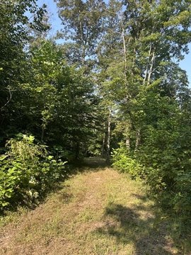 Wooded Hunting Land