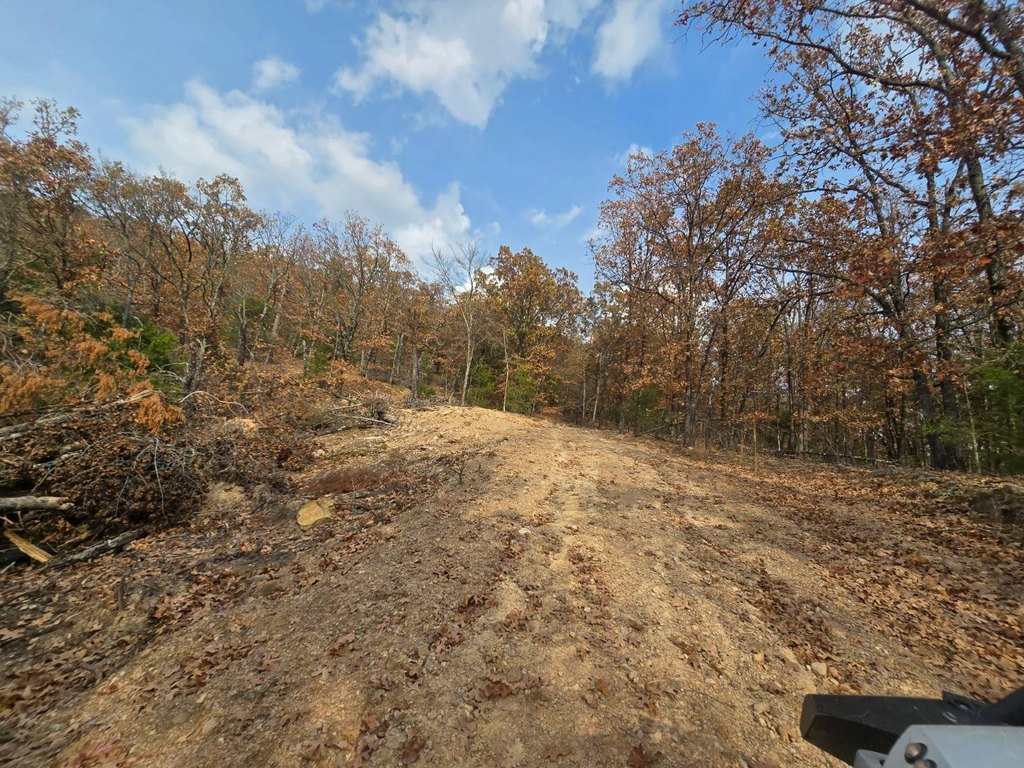 Picture 28