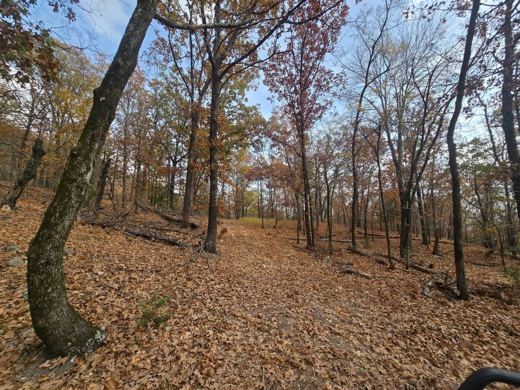 Picture 30