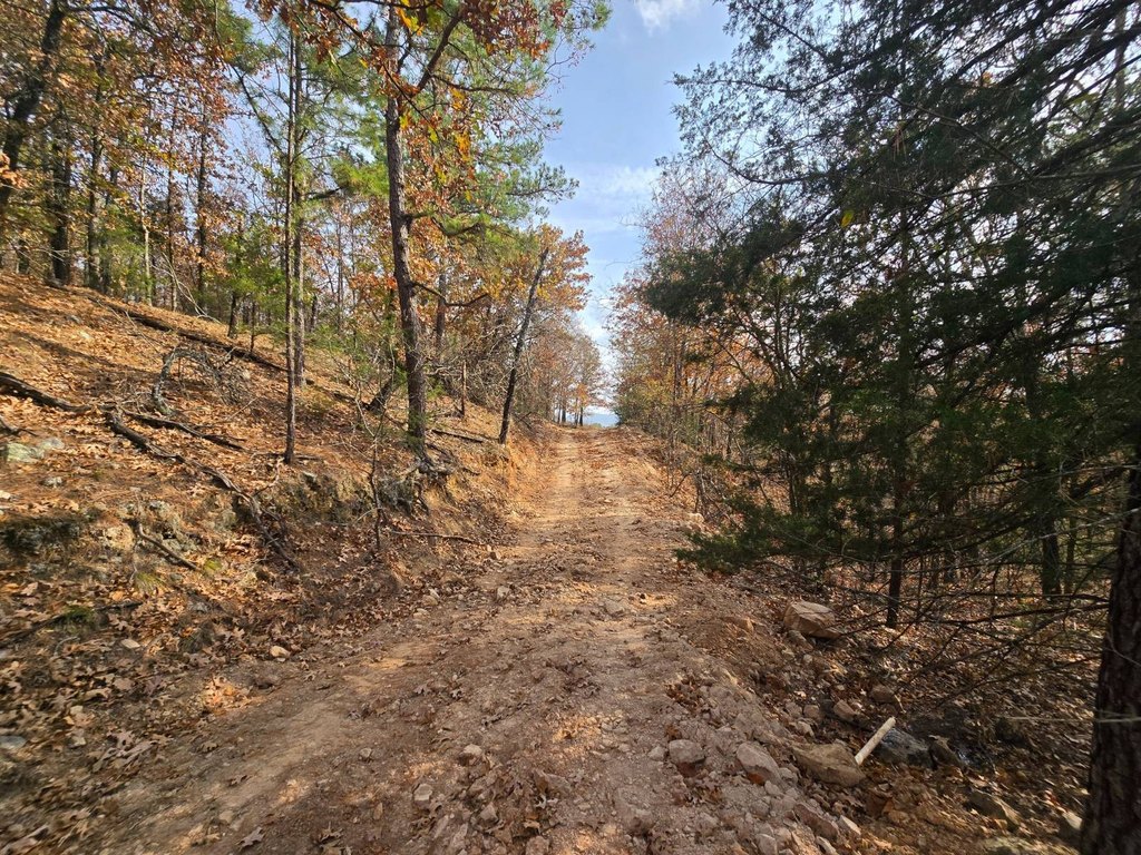 Picture 23