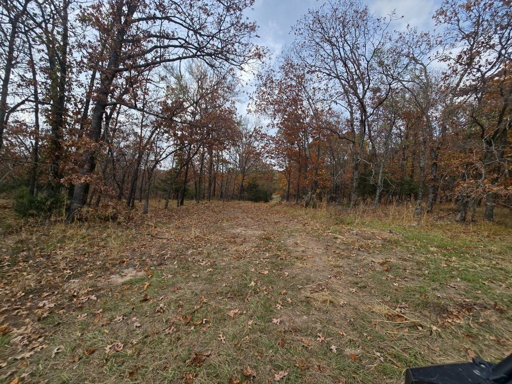 Picture 20