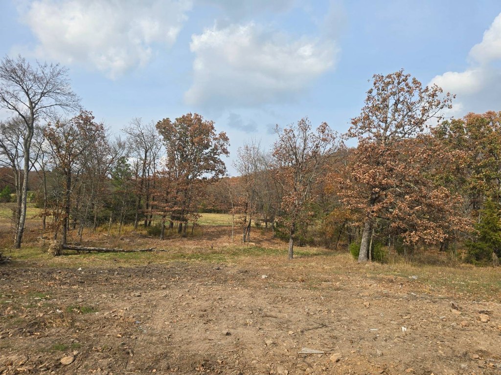 Picture 6