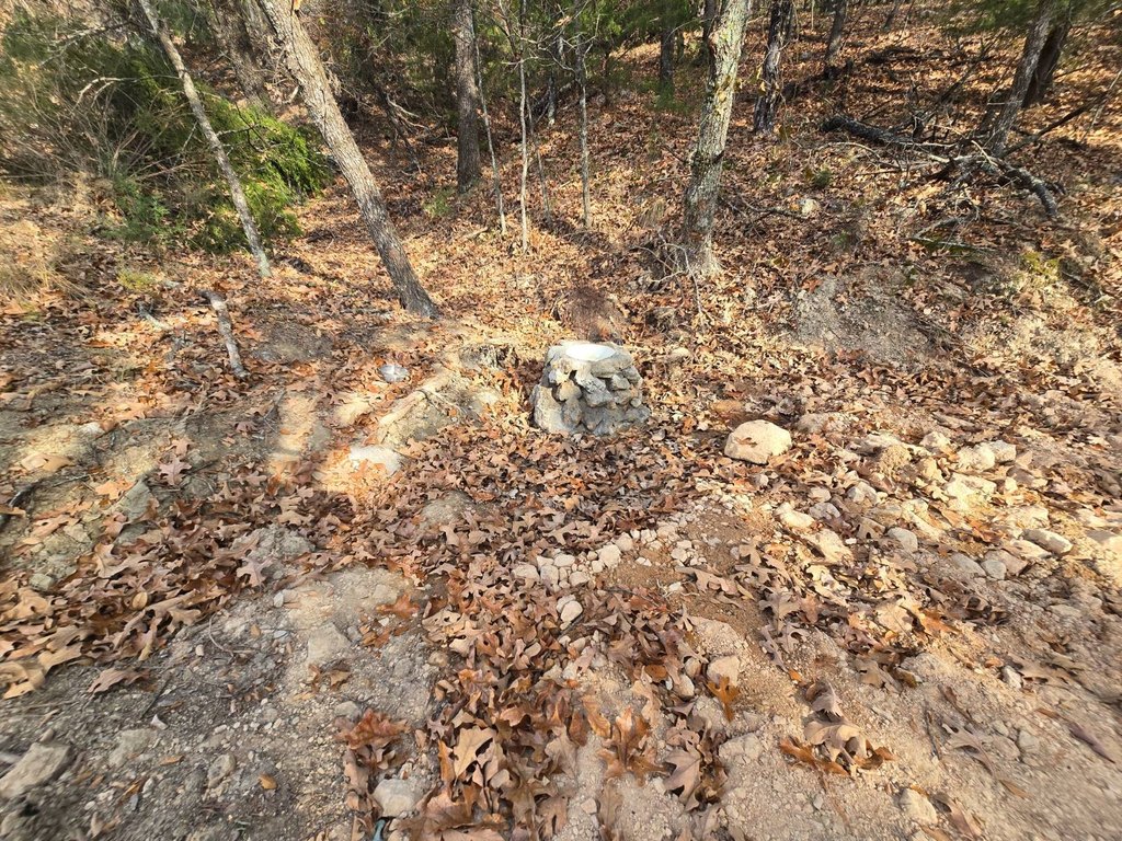 Picture 25