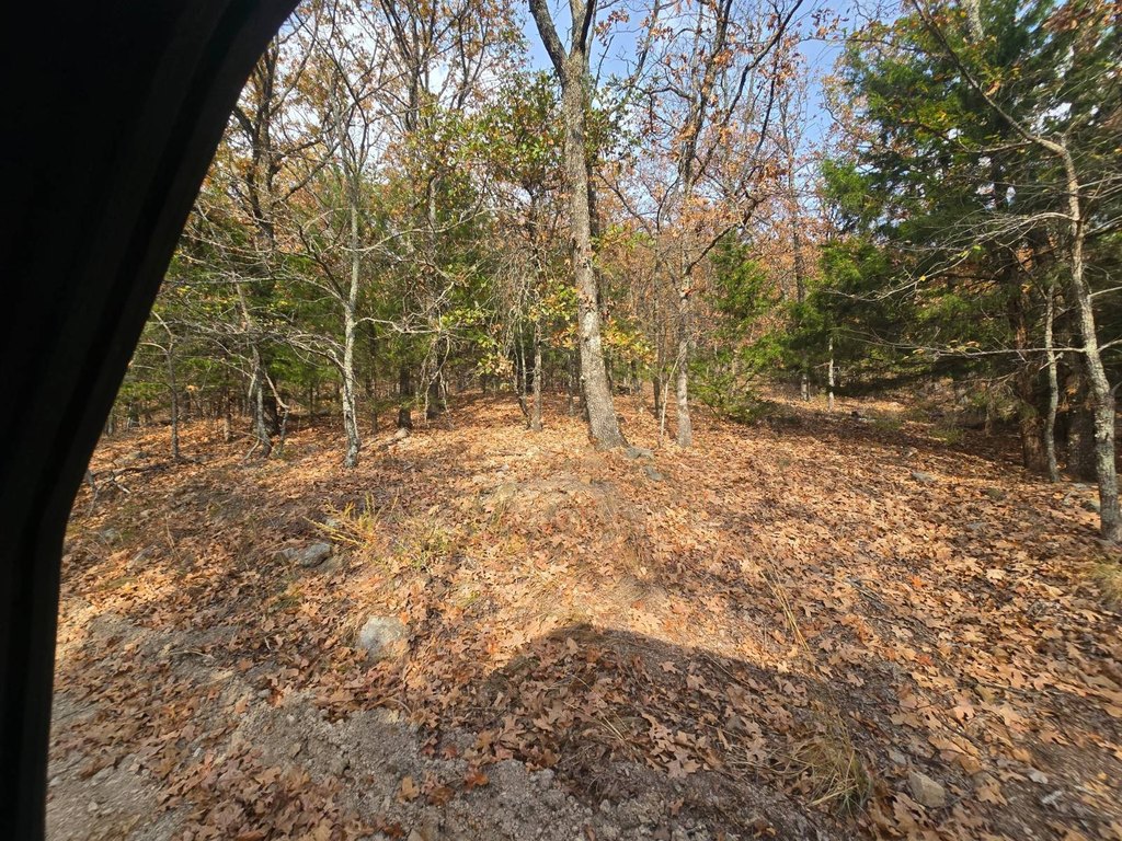 Picture 39