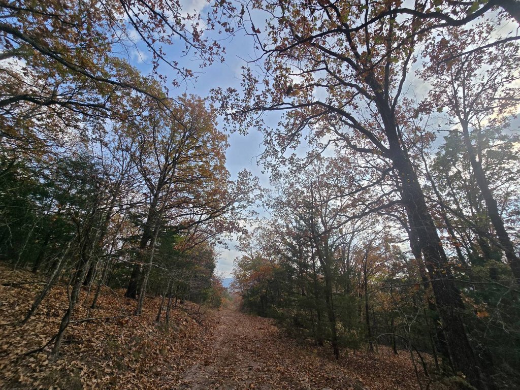 Picture 41
