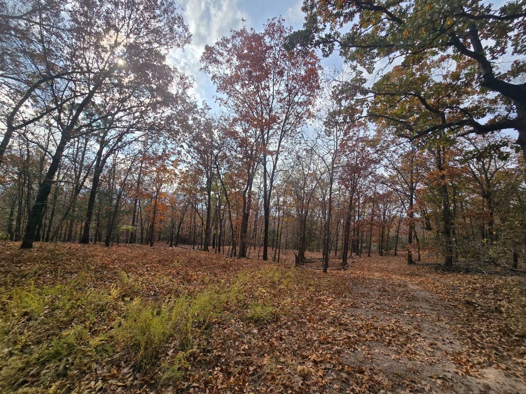 Picture 32
