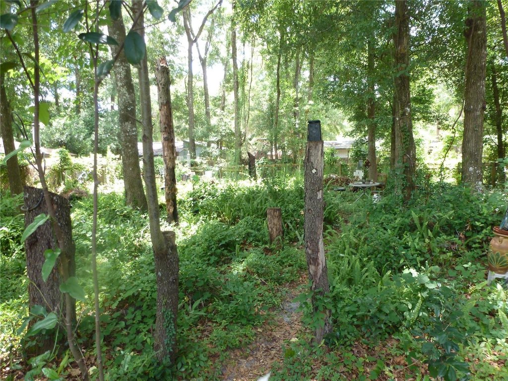 Picture 14