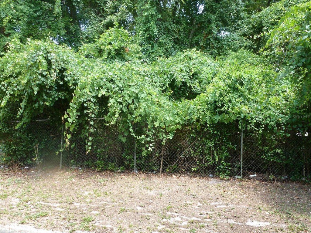 Picture 2