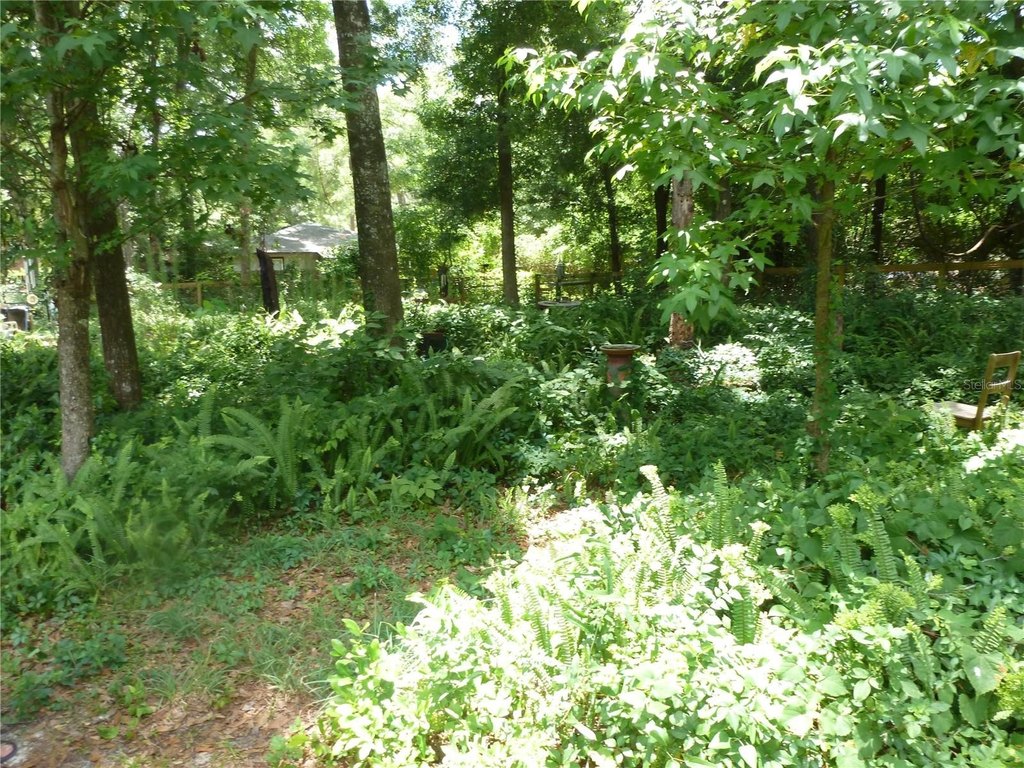 Picture 15
