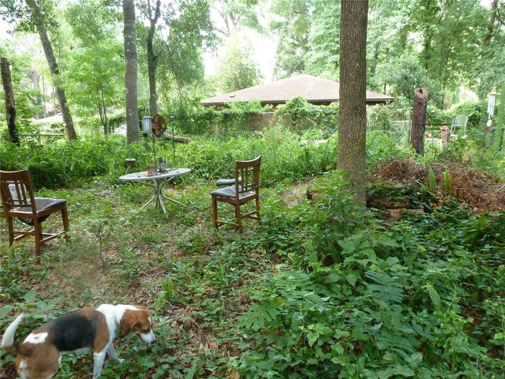 Picture 13