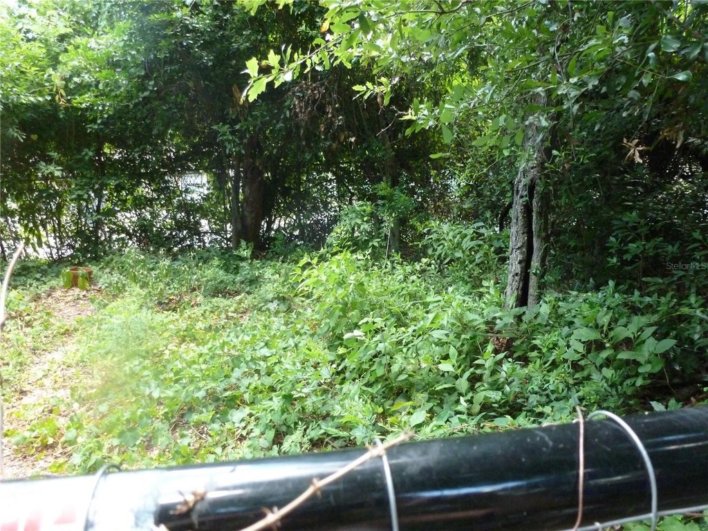 Picture 11