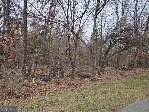 6.5 Acres Wooded Land