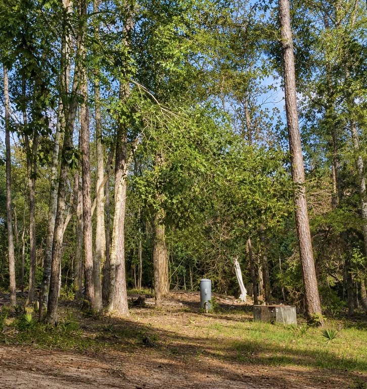 Picture 3