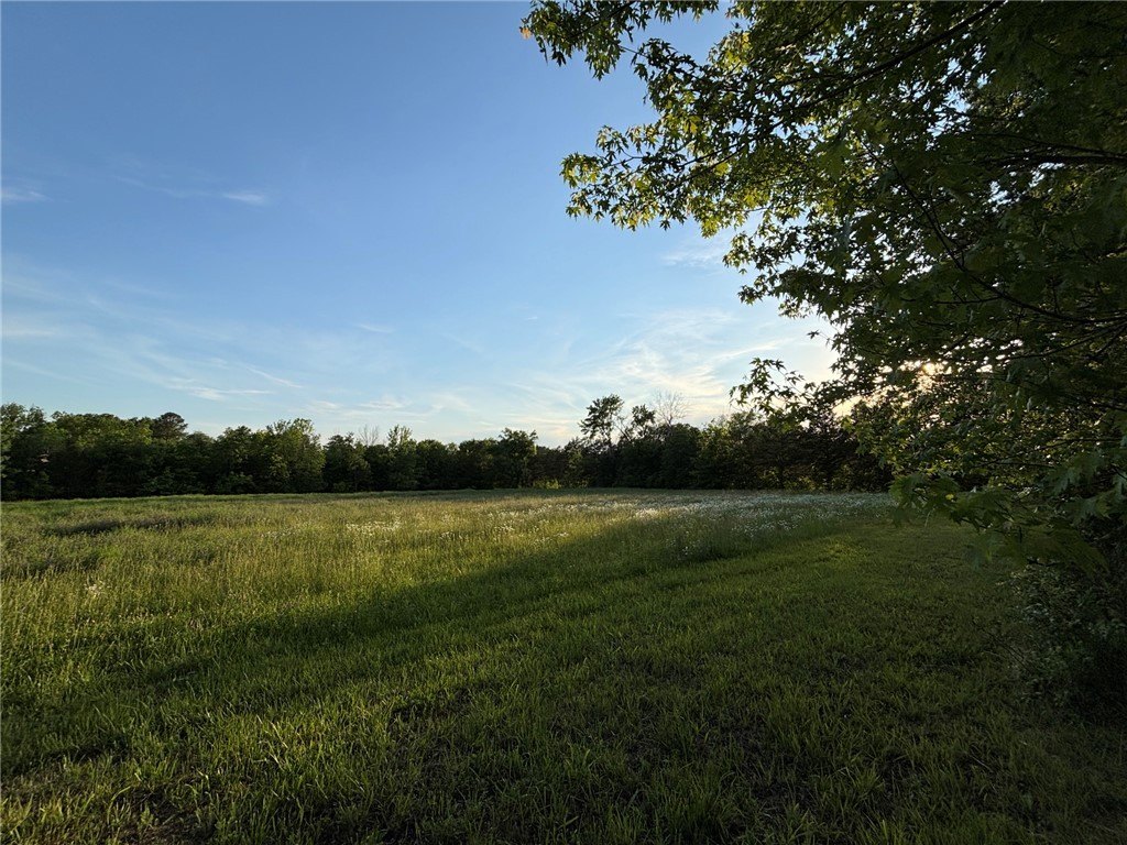 Picture 30