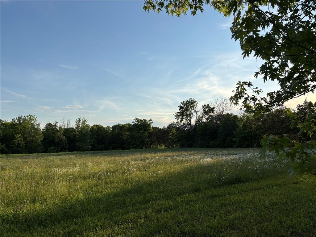Picture 29