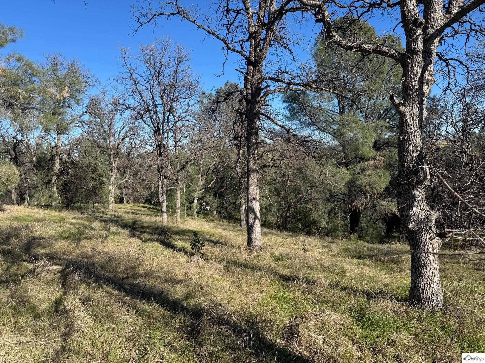 Land with Panoramic Views
