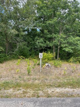 Manistee Commercial Land Opportunity