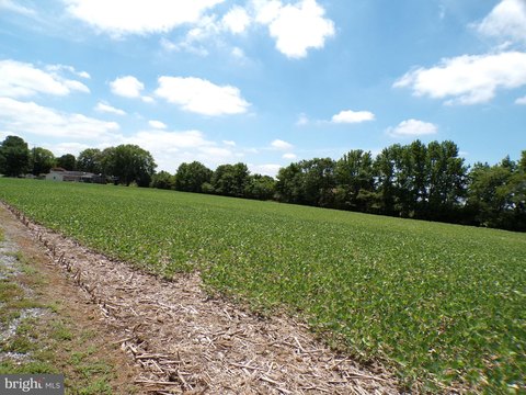 LAND - GREENWOOD, DE