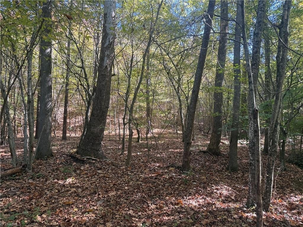 Picture 15