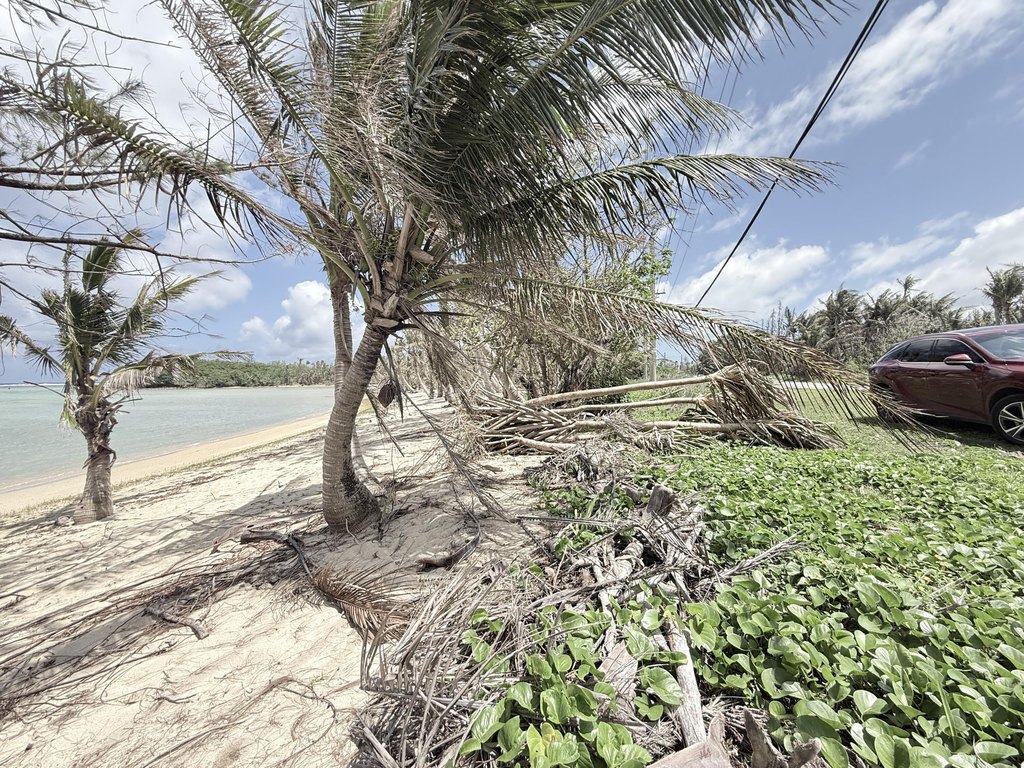 Picture 14