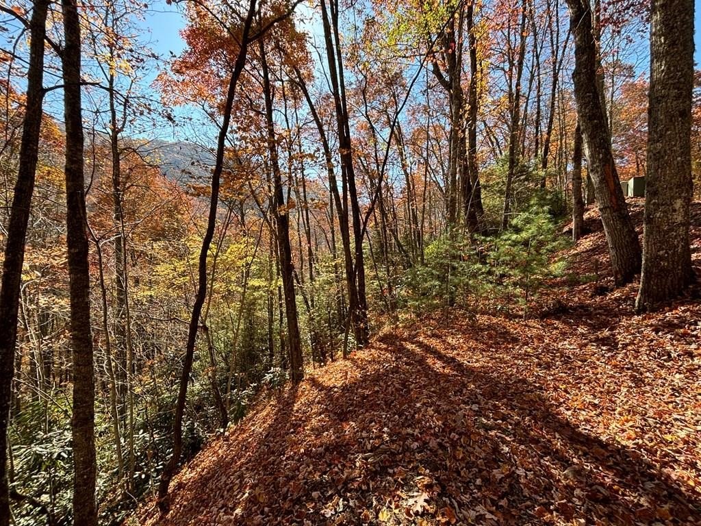 Whittier, NC Land For Sale