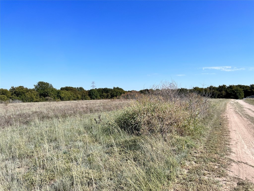 Picture 3