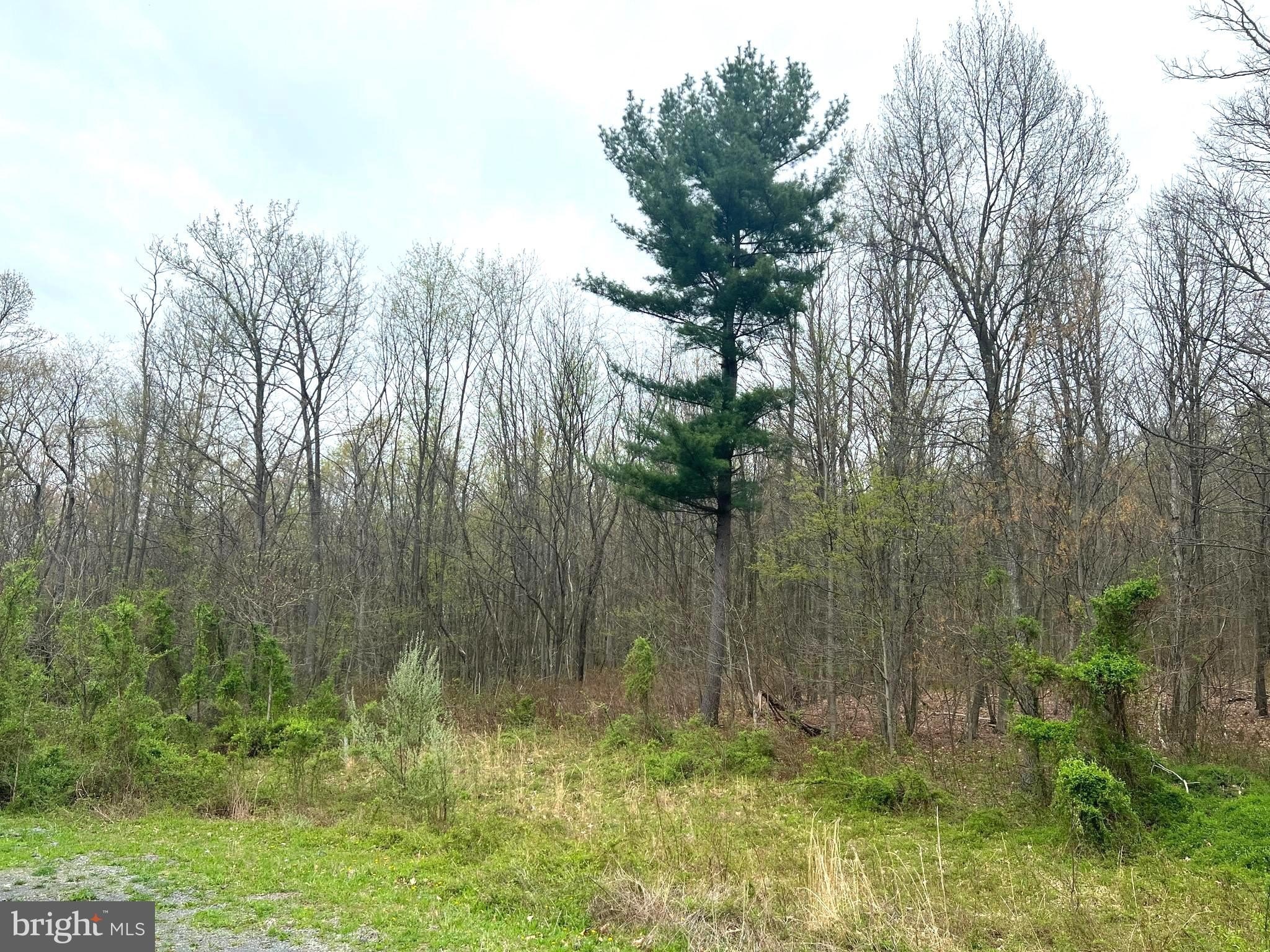 Land in Little Ridge Estates